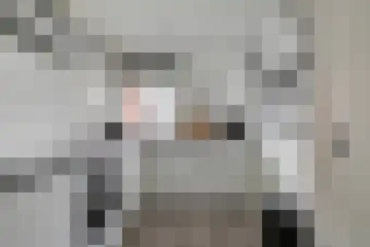 Boerhaavelaan 155 Helmond thumbnail 21