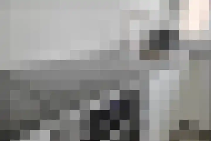 Boerhaavelaan 155 Helmond thumbnail 22