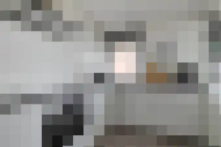Boerhaavelaan 155 Helmond thumbnail 23