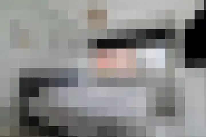 Boerhaavelaan 155 Helmond thumbnail 27
