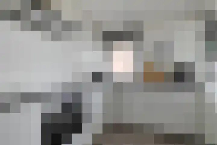 Boerhaavelaan 155 Helmond thumbnail 4