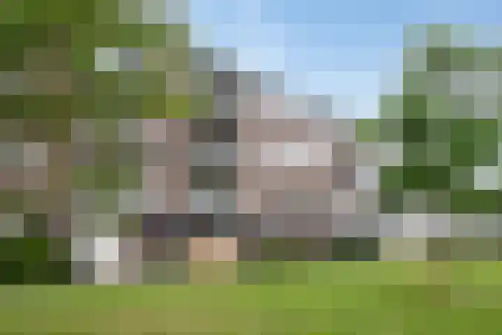 Boerhaavelaan 155 Helmond thumbnail 6