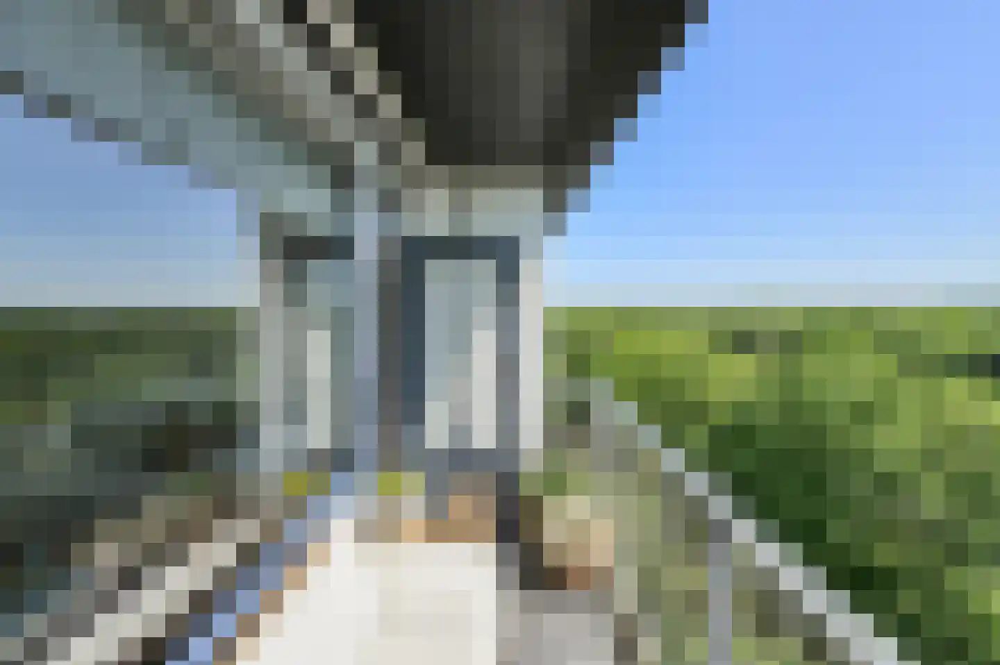 Boerhaavelaan 175 Oosterhout thumbnail 21