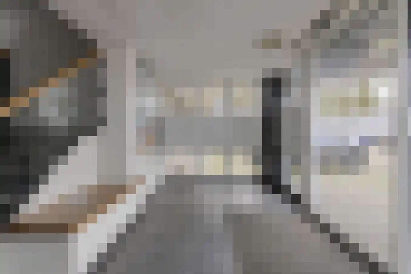 Boerhaavelaan 177 Oosterhout thumbnail 24