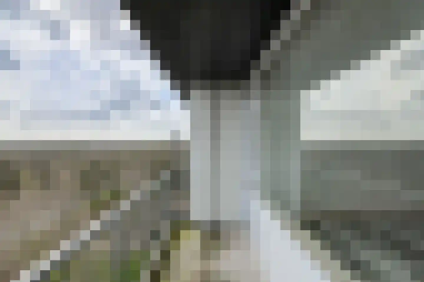 Boerhaavelaan 177 Oosterhout thumbnail 8