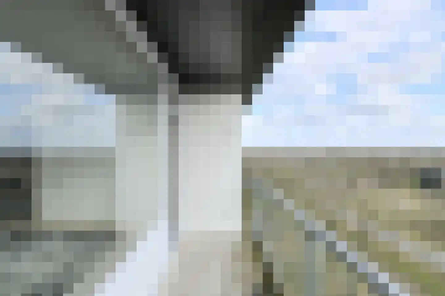 Boerhaavelaan 177 Oosterhout thumbnail 9