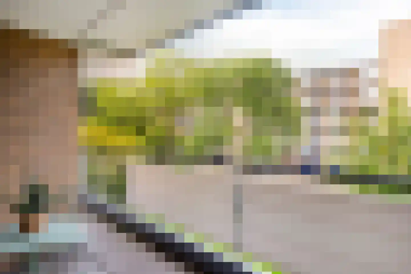 Boerhaavelaan 179 Leiden thumbnail 17