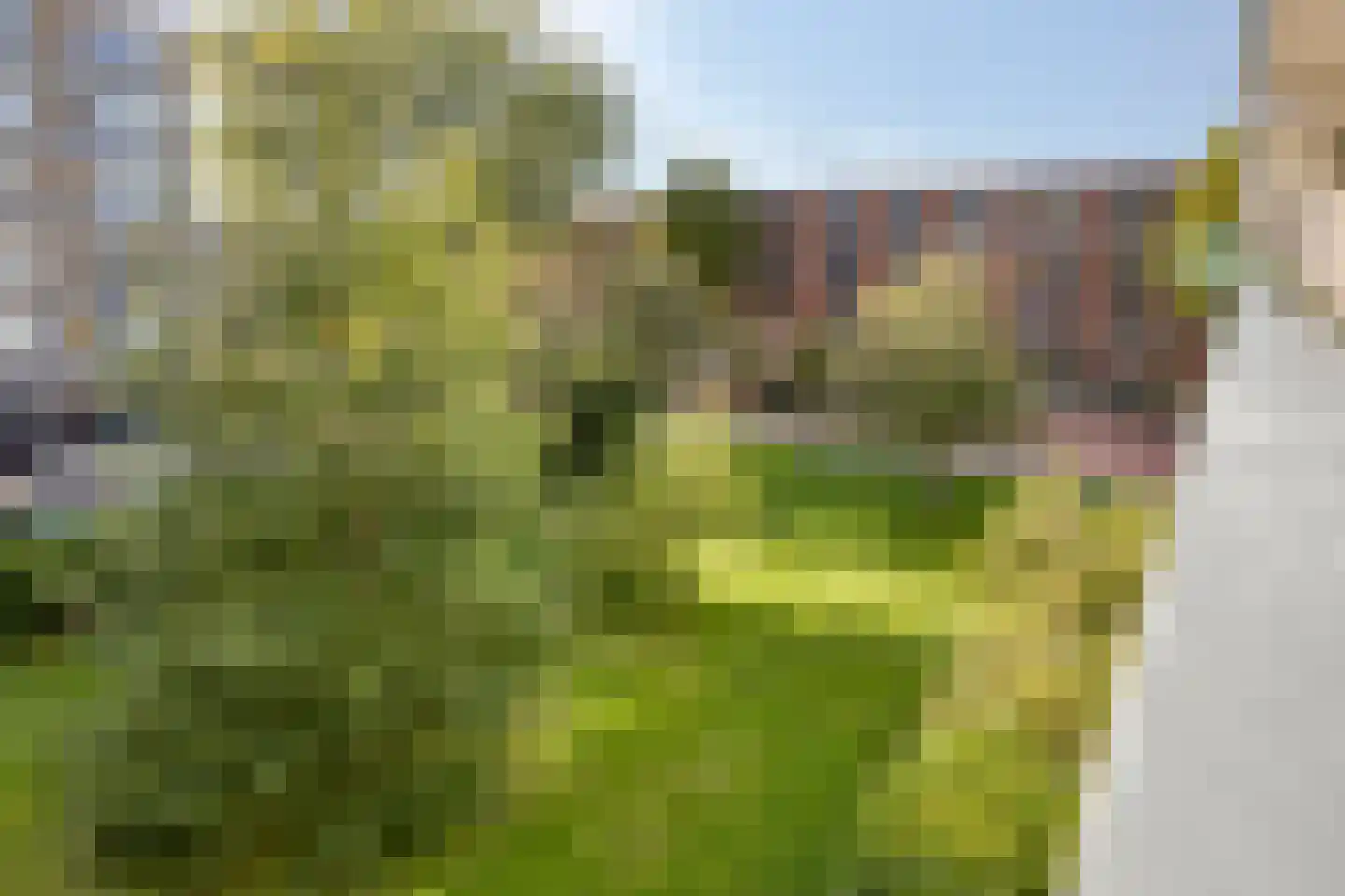 Boerhaavelaan 179 Leiden thumbnail 19
