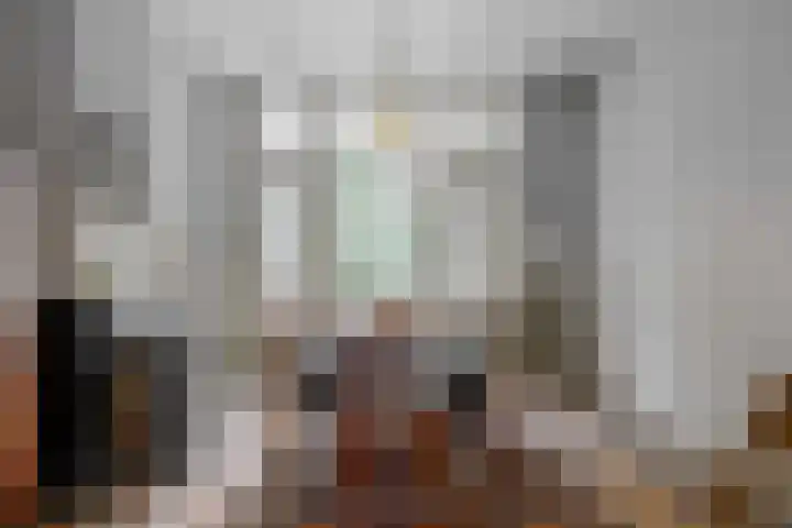 Boerhaavelaan 19 Leiden thumbnail 11