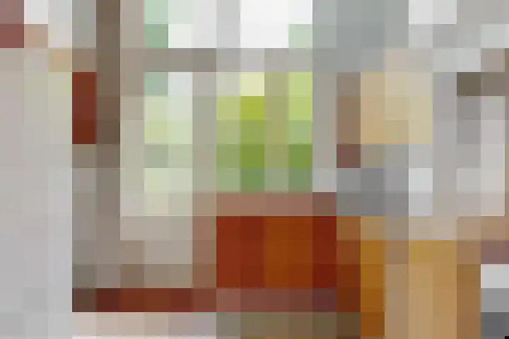 Boerhaavelaan 19 Leiden thumbnail 18