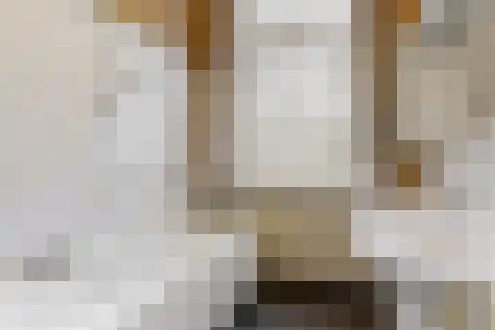 Boerhaavelaan 19 Leiden thumbnail 23