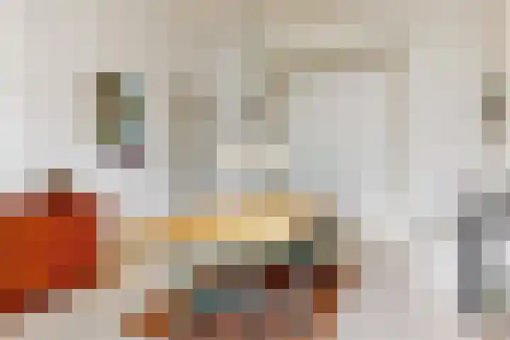 Boerhaavelaan 19 Leiden thumbnail 33