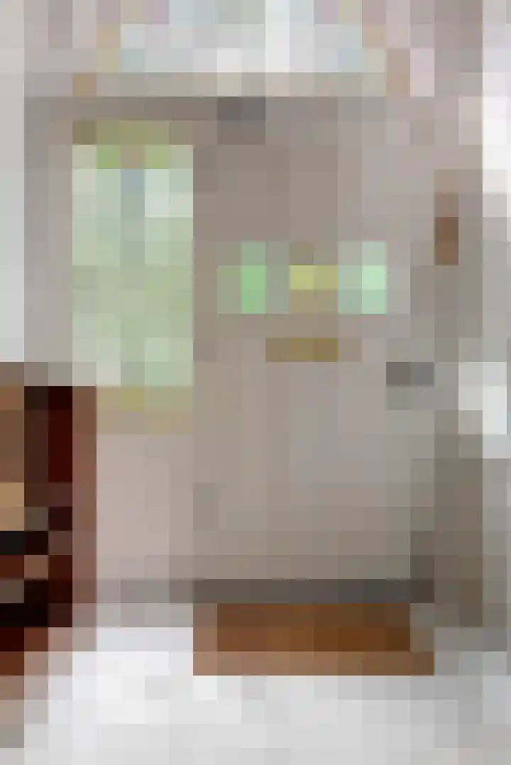 Boerhaavelaan 19 Leiden thumbnail 4