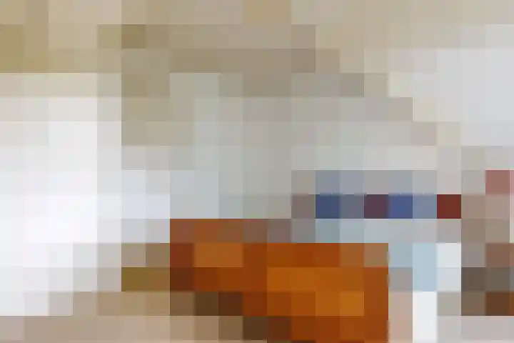 Boerhaavelaan 19 Leiden thumbnail 42