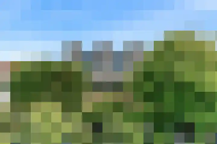 Boerhaavelaan 19 Leiden thumbnail 47