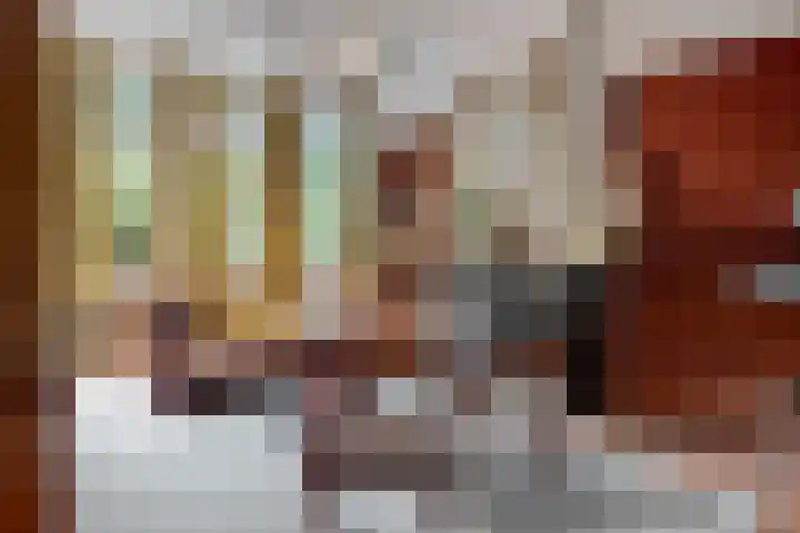 Boerhaavelaan 19 Leiden thumbnail 7