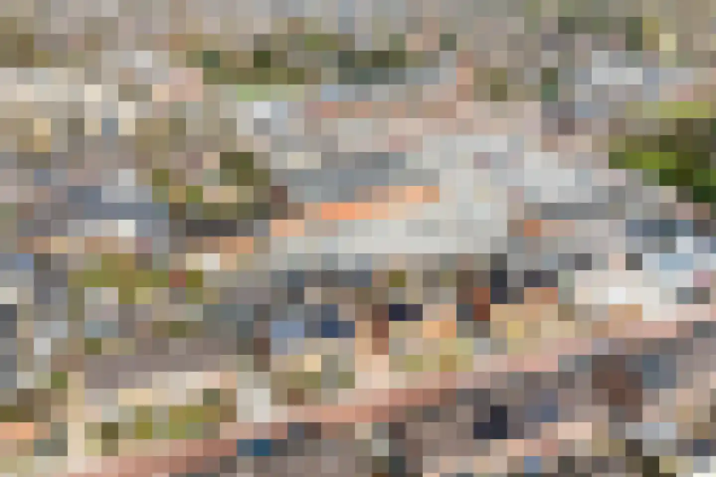 Boerhaavelaan 20 Eerbeek thumbnail 36