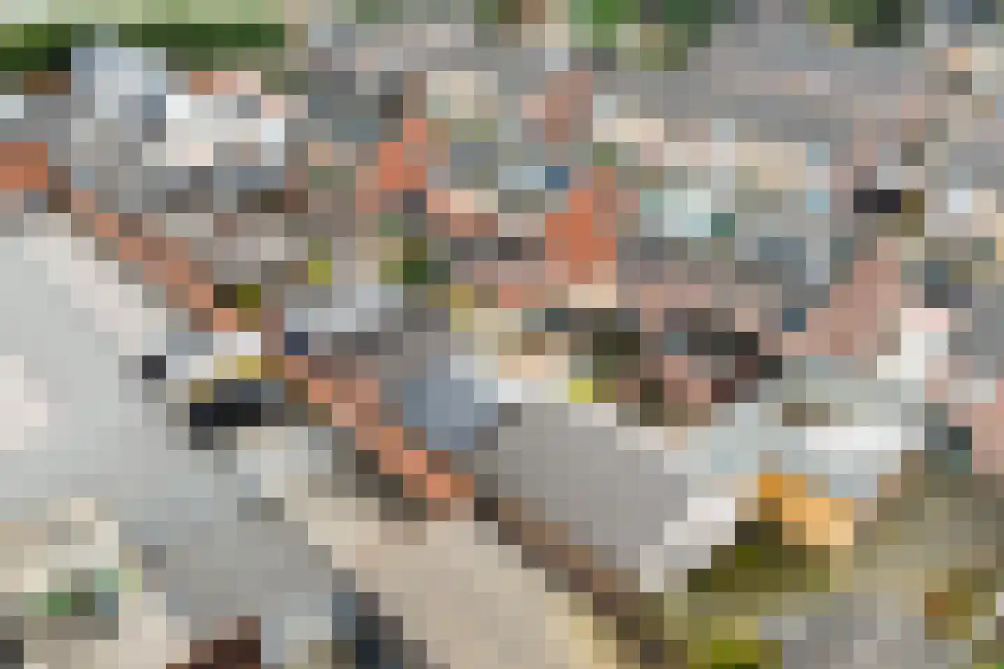 Boerhaavelaan 20 Eerbeek thumbnail 41