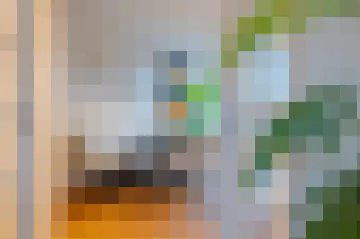 Boerhaavelaan 20 Eindhoven thumbnail 13