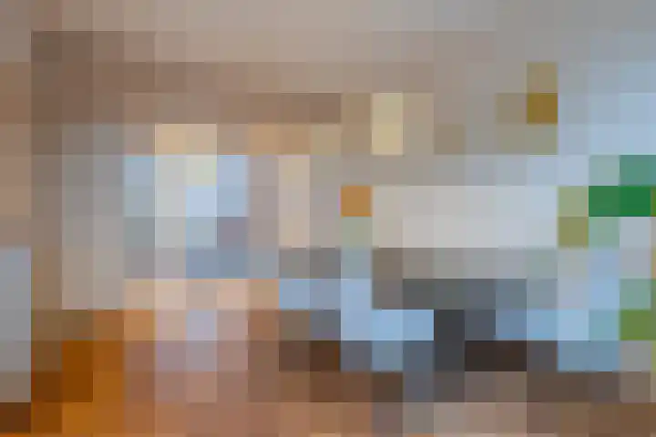 Boerhaavelaan 20 Eindhoven thumbnail 18