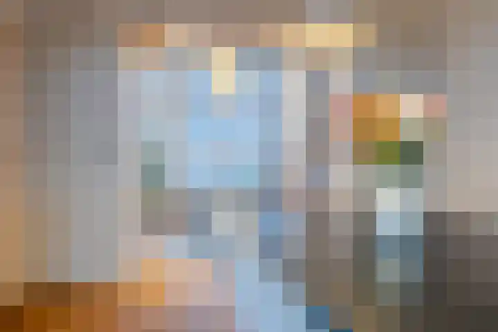 Boerhaavelaan 20 Eindhoven thumbnail 19