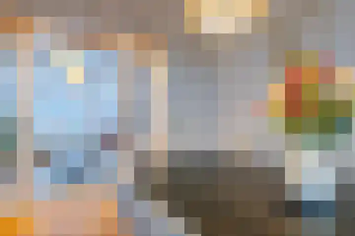 Boerhaavelaan 20 Eindhoven thumbnail 20