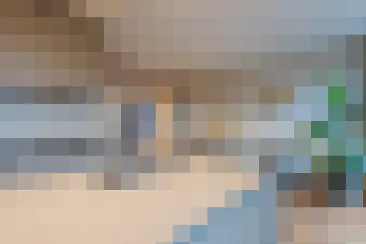 Boerhaavelaan 20 Eindhoven thumbnail 24