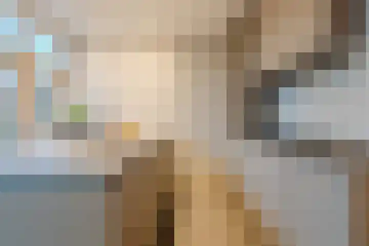 Boerhaavelaan 20 Eindhoven thumbnail 26