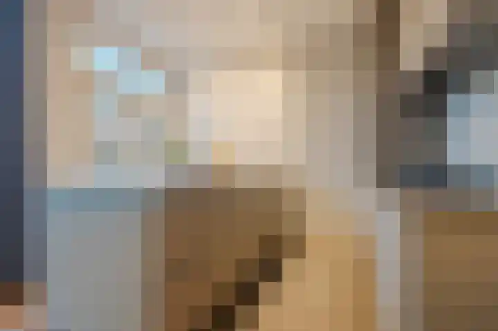 Boerhaavelaan 20 Eindhoven thumbnail 27