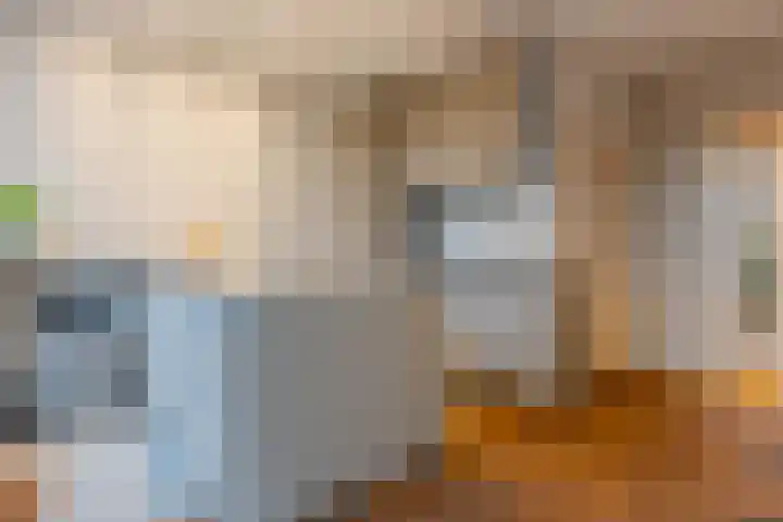 Boerhaavelaan 20 Eindhoven thumbnail 29