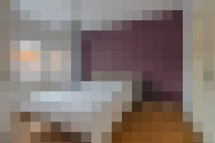 Boerhaavelaan 20 Eindhoven thumbnail 32