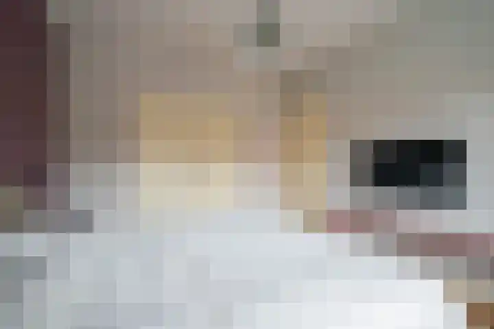 Boerhaavelaan 20 Eindhoven thumbnail 34