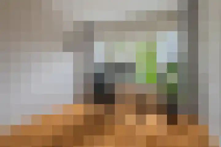 Boerhaavelaan 20 Eindhoven thumbnail 35
