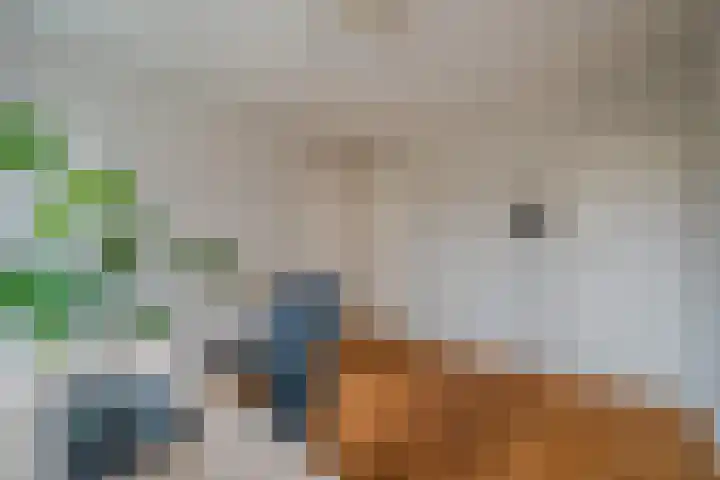 Boerhaavelaan 20 Eindhoven thumbnail 36
