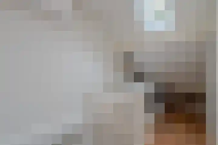 Boerhaavelaan 20 Eindhoven thumbnail 42