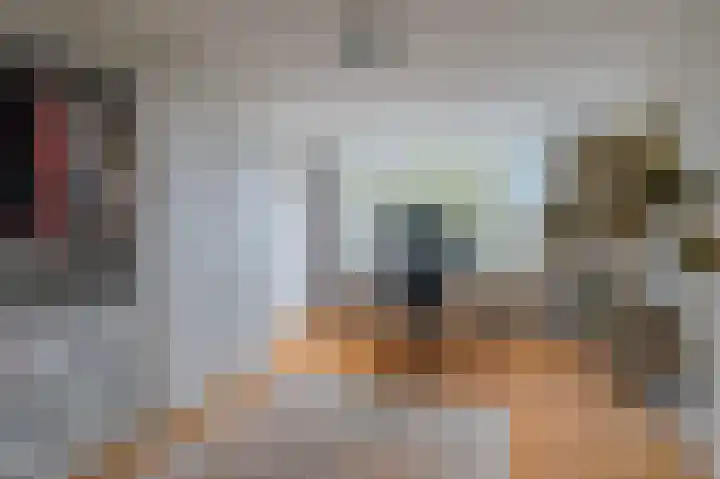 Boerhaavelaan 20 Eindhoven thumbnail 44