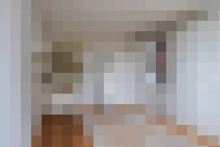 Boerhaavelaan 20 Eindhoven thumbnail 47