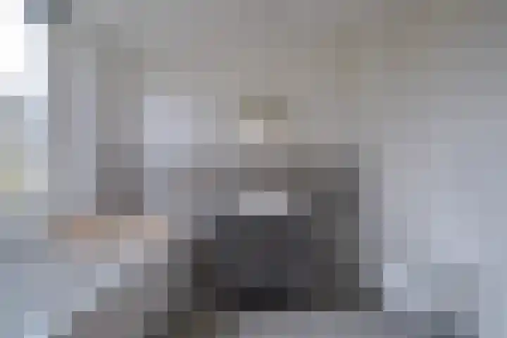 Boerhaavelaan 20 Eindhoven thumbnail 49