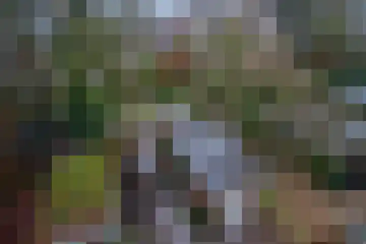 Boerhaavelaan 20 Eindhoven thumbnail 52