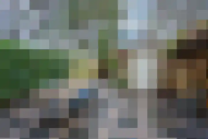 Boerhaavelaan 20 Eindhoven thumbnail 53