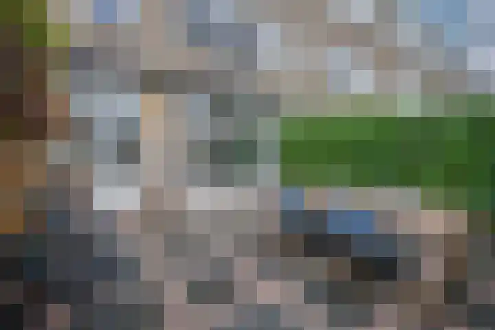 Boerhaavelaan 20 Eindhoven thumbnail 55