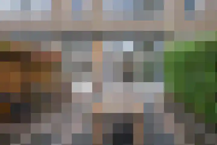 Boerhaavelaan 20 Eindhoven thumbnail 56