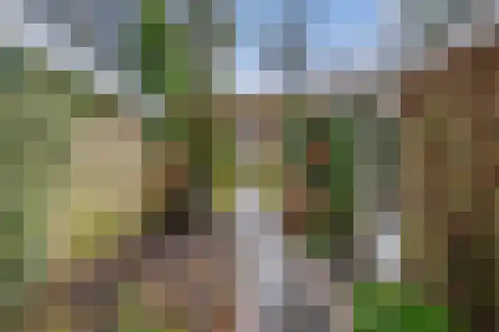 Boerhaavelaan 20 Eindhoven thumbnail 57