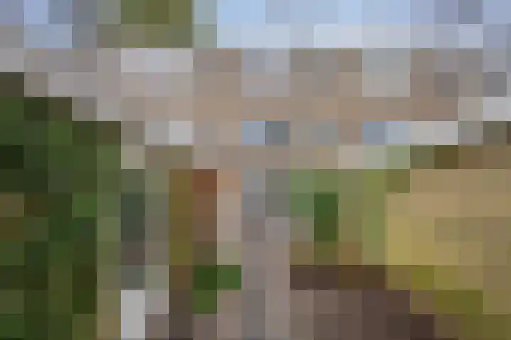 Boerhaavelaan 20 Eindhoven thumbnail 58