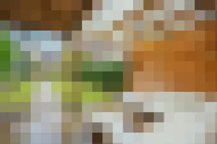 Boerhaavelaan 20 Eindhoven thumbnail 59