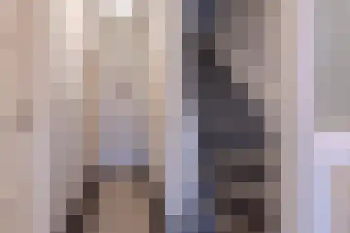 Boerhaavelaan 20 Eindhoven thumbnail 6