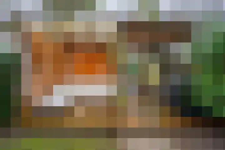 Boerhaavelaan 20 Eindhoven thumbnail 60