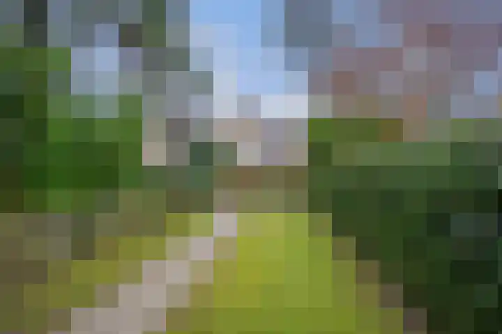 Boerhaavelaan 20 Eindhoven thumbnail 61
