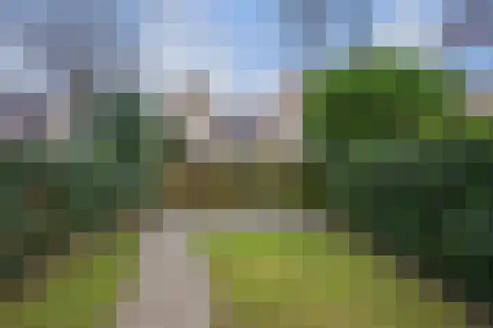 Boerhaavelaan 20 Eindhoven thumbnail 62