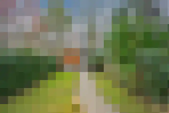 Boerhaavelaan 20 Eindhoven thumbnail 63